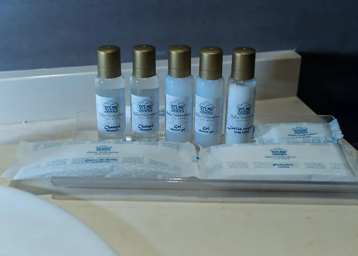 팔라시아 발데라바노스 4* Ávila